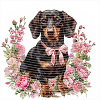 Animal Integration-DW 439